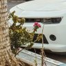 Knh_Younes profil fotoğrafı