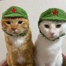 Фото профиля ☭ 🇵🇸🇨🇺