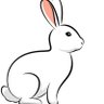 Фото профиля CONCIENCIA COLECTIVA 🐇