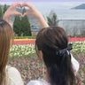 かえで's profile picture