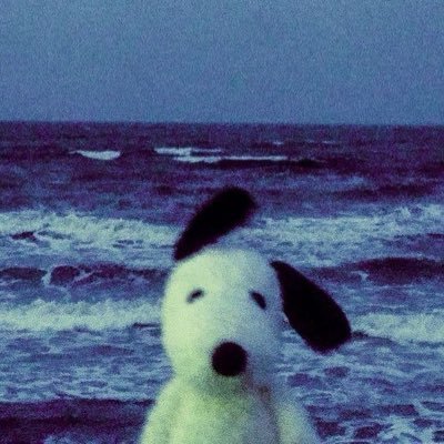 SIGNAL's profile picture