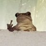 Фото профиля That one danm Frog