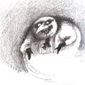 Alf the Space Dawg's profile picture