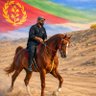 Profilbild von سامي النايب