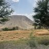 Фото профиля Qandeel