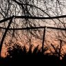 Фото профиля Suburban Sunsets