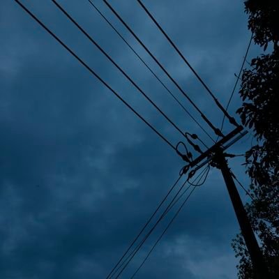 ZiZhuz86271111's profile picture
