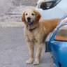 muwat's profile picture