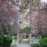 Фото профиля Liusanjie