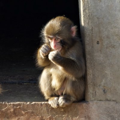 Tweety_R_25's profile picture