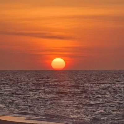 Exhibmoon's profile picture