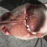 Profilbild von FloridaFam