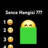 Profilbild von Sence Hangisi