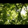 Фото профиля chelozias11