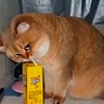 ๐ฎ๐ฉ Aulian BQ ๐ฎ๐ฉ's profile picture