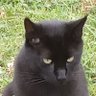 Béatrice profil fotoğrafı