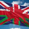 Фото профиля Welsh and Proud