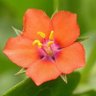 Фото профиля சி. கருப்பு