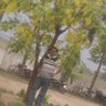 Profilbild von umakant dubey