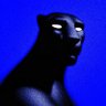 Roland's profile picture