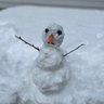 Bob Winter profil fotoğrafı
