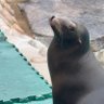 かず profil fotoğrafı