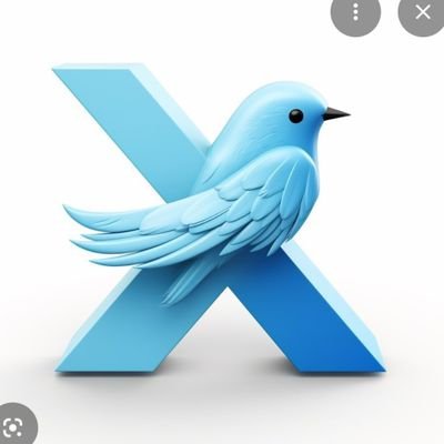 safu1122's profile picture