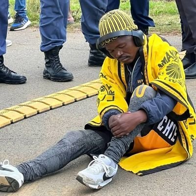 Mshengu's profile picture