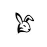 Фото профиля WhiteRabbit