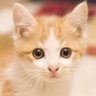 Profilbild von CSひふみ