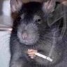 cortando frango no chao da lapa's profile picture