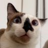 tuca's profile picture