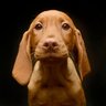 Profilbild von Frank