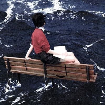 luvuchoi's profile picture