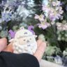 Фото профиля 天りータ