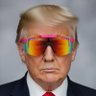 Profilbild von DonaldTrumpMogs