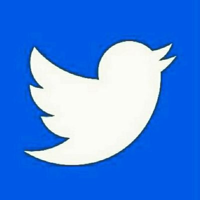 MasterTraixy's profile picture