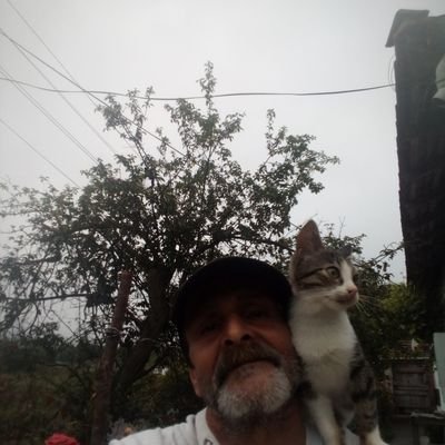 Ömer Pay's profile picture
