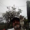 Ömer Pay's profile picture