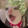 jppkmkk profil fotoğrafı