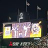 トオル🐯Tigers一筋 9/22.23.25.29.30's profile picture