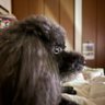 たむら's profile picture