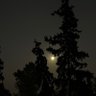 Фото профиля ali