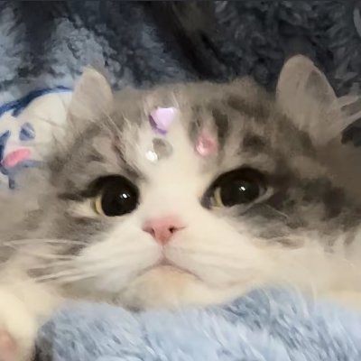 tiezhu123456789's profile picture