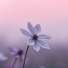 🌸Hind profil fotoğrafı