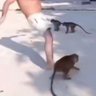 San's profile picture