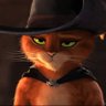 Pusslayer's profile picture