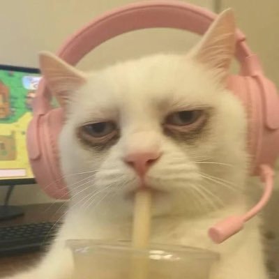 đã đổi được tên 😏's profile picture