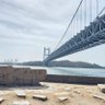 shion profil fotoğrafı