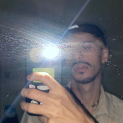 leoalduino's profile picture